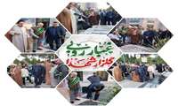 غبارروبی و گلباران مزار شهدای آستان مقدس امامزاده حیدر (ع)